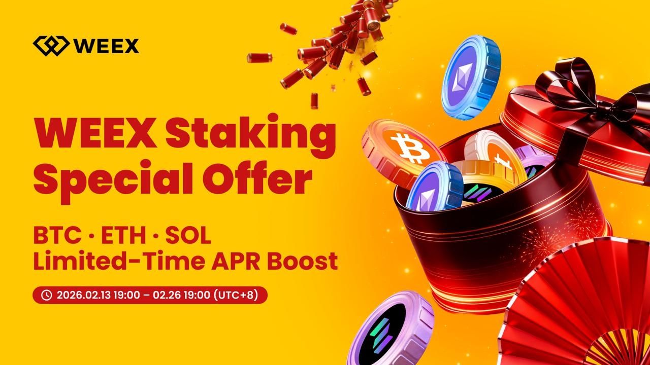 أكثر الأسهم ارتفاعًا في بورصة WEEX