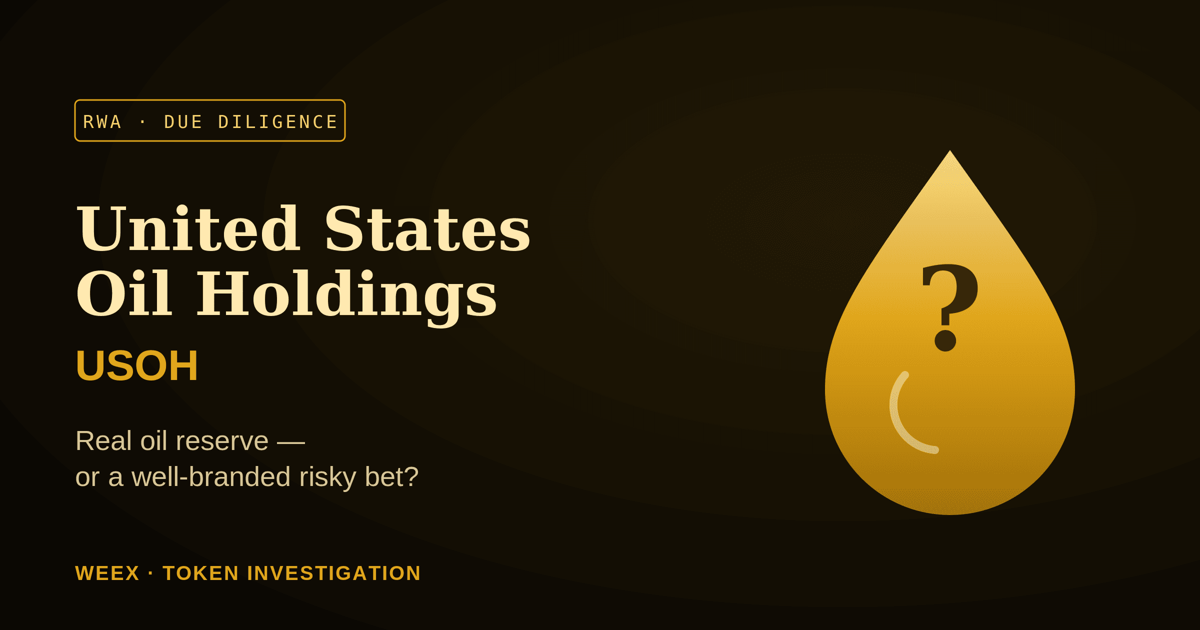 United States Oil Holdings (USOH): نفط حقيقي أم رهان محفوف بالمخاطر؟