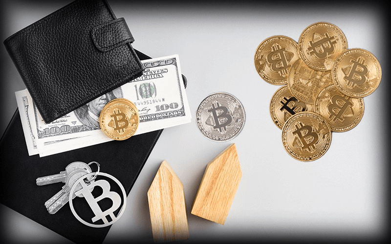 De carteras frías a carteras calientes: ¿Cómo elegir la billetera de criptomonedas adecuada para ti?