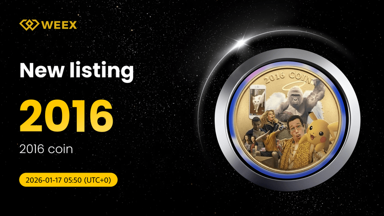 2016 Moneda (2016) Listas en WEEX: Comercia 2016 USDT Ahora