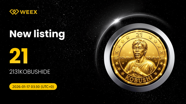 Opere con 21 USDT: Monedas 2131KOBUSHIDE (21) cotizadas en WEEX Spot