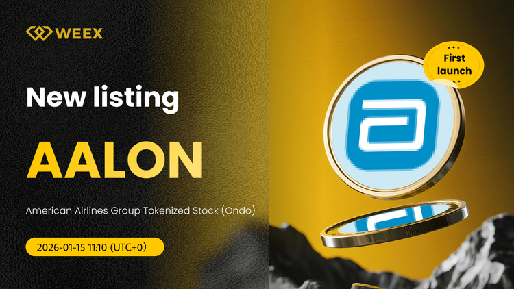 AALON USDT: أسهم مجموعة الخطوط الجوية الأمريكية المرمزة على WEEX