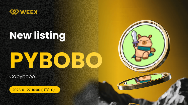 PYBOBO USDT Debuta en WEEX: Lista Capybobo (PYBOBO) Coin