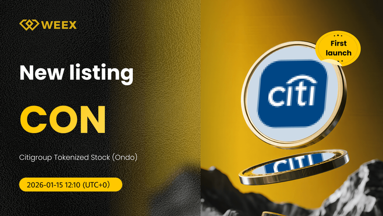 PAR CON USDT Listado: Acciones Tokenizadas de Citigroup en WEEX Spot