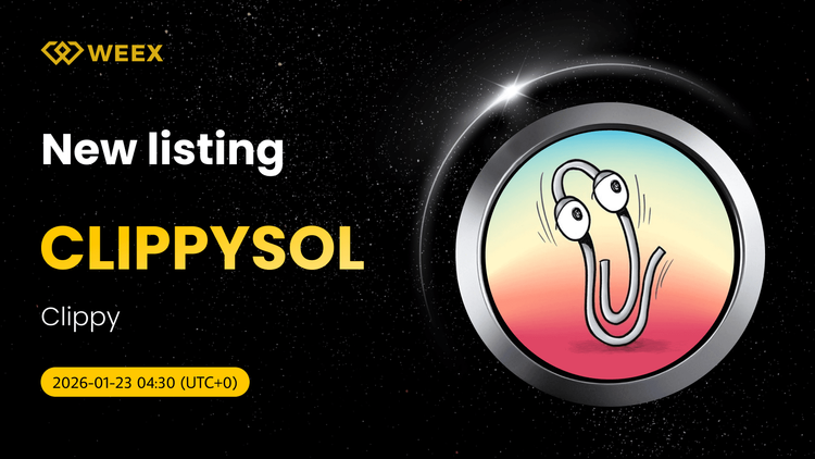 CLIPPYSOL USDT Par de Trading Listado en WEEX Spot