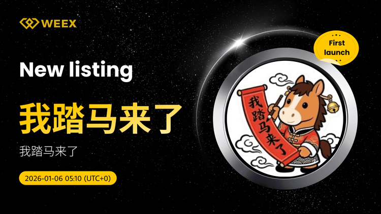 我踏马来了 Moneda listada ahora en WEEX Spot