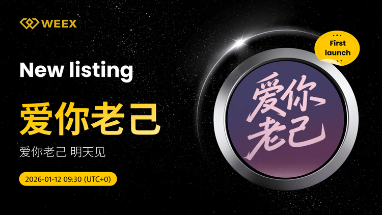 爱你老己 USDT Spot Trading: Love You Older Self Listado en WEEX Spot