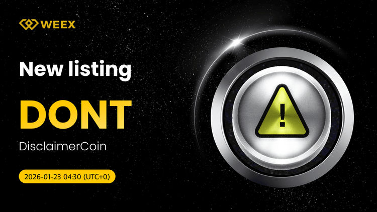 NO COMERCIO AL POR MENOR DE USDT: Lista de monedas de DisclaimerCoin (DONT) en WEEX