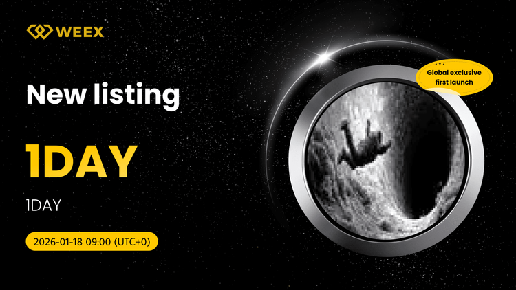 Listado exclusivo de 1DAY USDT: Opera 1DAY Coin en WEEX