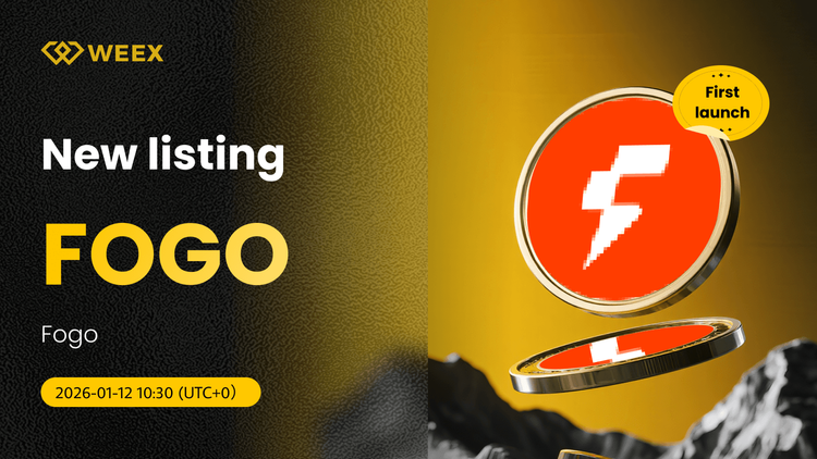 FOGO USDT Pair Live: Moneda de Fogo Cotizada en WEEX Spot