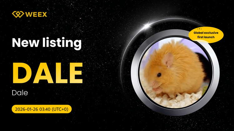 DALE USDT Exclusivo: Dale (DALE) Moneda Listada en WEEX