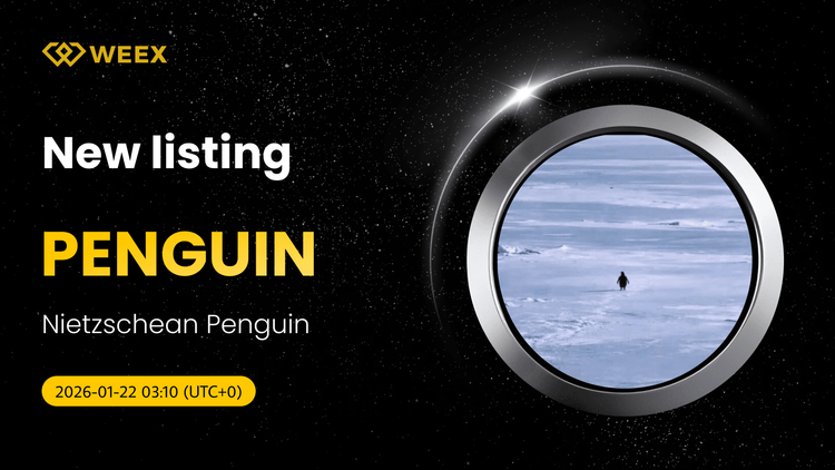 PENGUIN USDT En Vivo: La moneda Nietzschean Penguin listada en WEEX