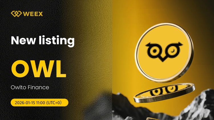 OWL USDT En Vivo: Owlto Finance listado en el intercambio WEEX