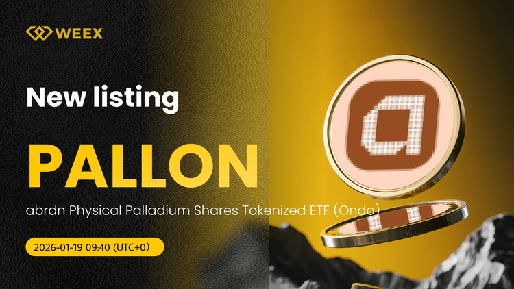 PALLON USDT Trading Live: Comprar Moneda PALLON en WEEX Spot
