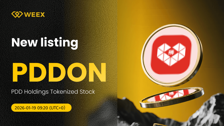 PDDON USDT Ahora en Vivo: Token de acciones tokenizadas de PDD Holdings en WEEX Spot