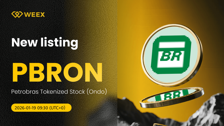 Operaciones con PBRON/USDT: Acciones tokenizadas de Petrobras en el mercado al contado de WEEX