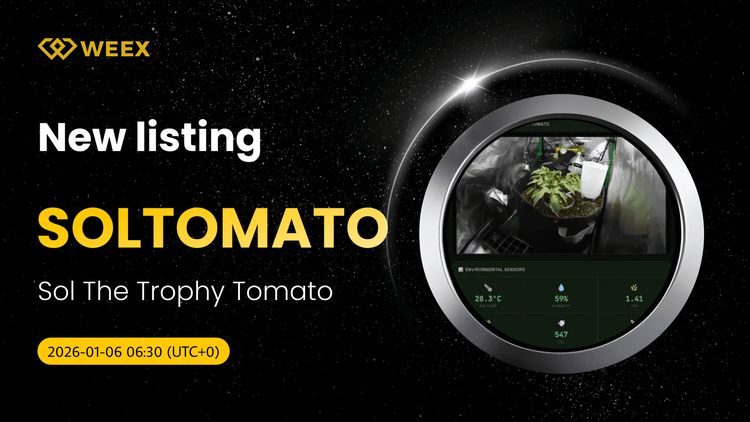 SOLTOMATO USDT Listado: Trade Sol The Trophy Tomato on WEEX