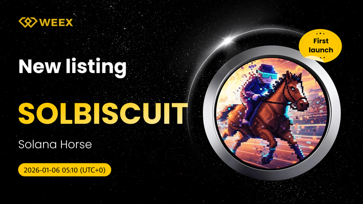 SOLBISCUIT USDT Live: Listado de Monedas de Caballo Solana en WEEX