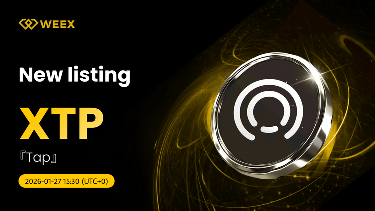 Tap (XTP) Coin listado en WEEX Spot: Paridad XTP USDT en vivo