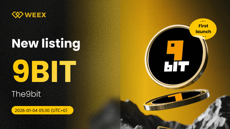 9BIT USDT Trading Live: Moneda de 9bits (9BITS) listada en WEEX Spot