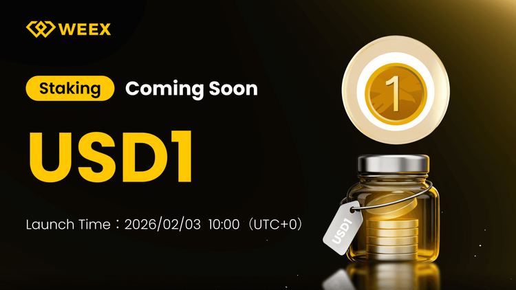 ويكس ستاكنج USD1: دليل كامل