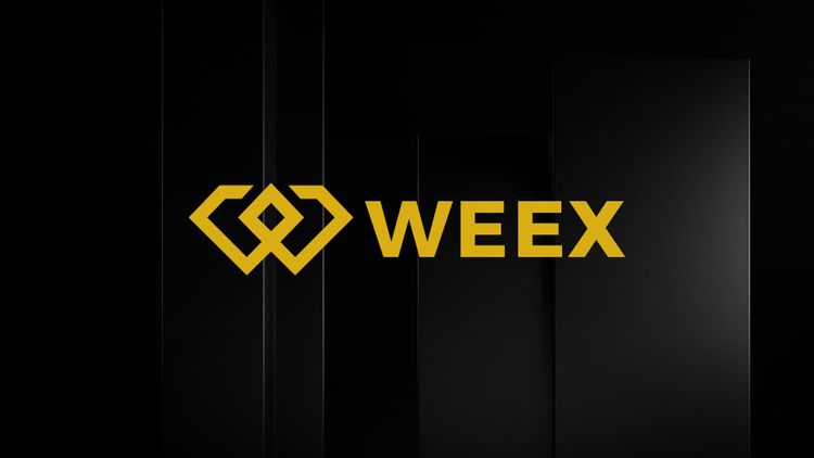 ملخص WEEX الأسبوعي: اتجاهات السوق وأبرز الأحداث (20 ديسمبر - 27 ديسمبر 2024)