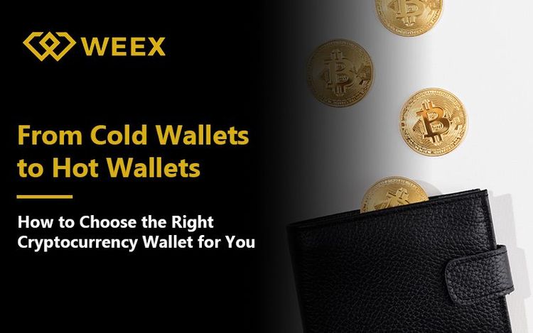 De carteras frías a carteras calientes: ¿Cómo elegir la billetera de criptomonedas adecuada para ti?