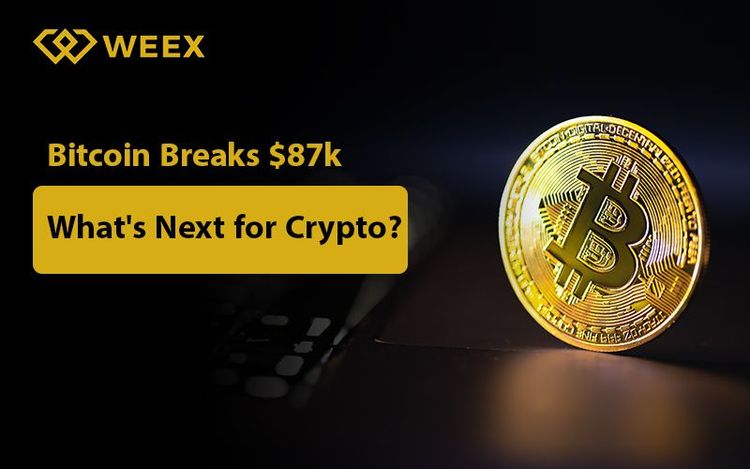 El precio de Bitcoin supera los 87.000 $: ¿Cuál es el futuro de las criptomonedas?