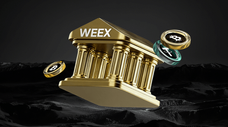 WEEX مقابل البورصات الأخرى: مقارنة السيولة والرسوم لعام 2026 - أيهما أفضل؟